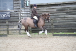 SBM_007068