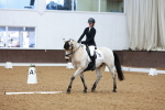 SBM_003425