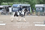 BPP_0273