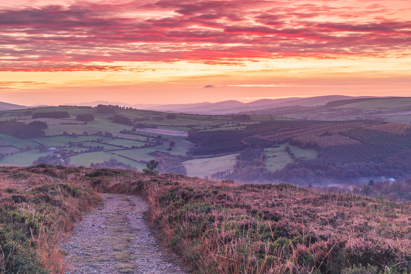 Mottee Stone Sunset, Wicklow