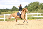 SBM_006374