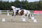 SBM_021066