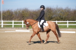 SBM_001976