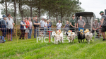 Guernsey Agricultural Show 2021-128