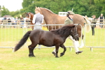 SBM_03506