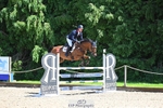 403-CRAZY_DU_LOIR-Oliver_Townend portfolio