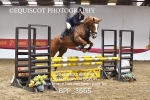 BPP_3665