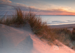 Sunlit dunes, Tremadog Bay