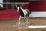 BPP_1649