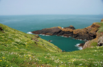 Pigstone Bay, Skomer, Pembrokeshire