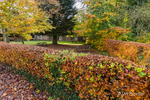 Autumn Picnic at Belvoir Forest Park