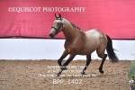 BPP_1402