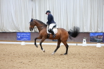 SBM_001764