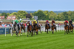 Race 6 portfolio