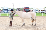 Class 25 - IH Foreign Breeds - Pure Bred portfolio
