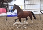 BPP_2340