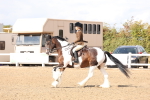 SBM_07334
