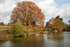 Buxted Sussex