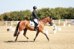 SBM_016978