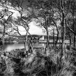 Bronze - Liz Wallis - On the banks of Loch Awe