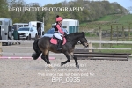 BPP_0935