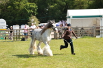 SBM_08533