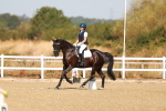 SBM_016613