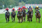 080925-Race 2-Alzahir-7784