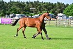 SBM_00097