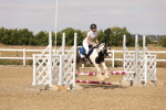 SBM_000695
