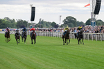 250726-Race 5-Rogue Jewel-7527