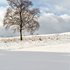 Perfect Snow