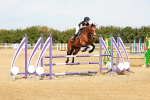 SBM_003220