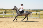SBM_000354