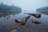 Fog Infusion