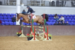 SBM_002377