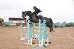 Cls 12 Snr Foxhunter portfolio