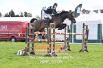 BPP_6205