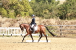 SBM_001500