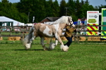 SBM_10083