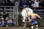 Bulfighters_DSC1808