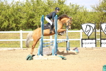 SBM_002508