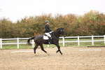 SBM_001929