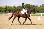 SBM_002246