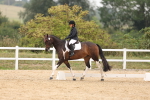 SBM_01686