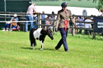 SBM_03634