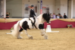 SBM_09335