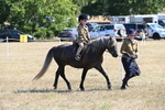 WJ6_7781