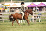 SBM_07673