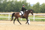 SBM_000631